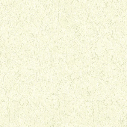 WALLPAPER VINYL PLASTER PLASTER