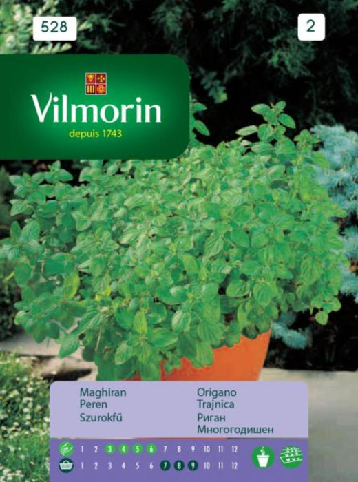 OREGAN VILMORIN SEEDS