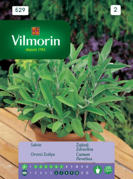 SALVIA MEDICINE VILMORIN SEEDS