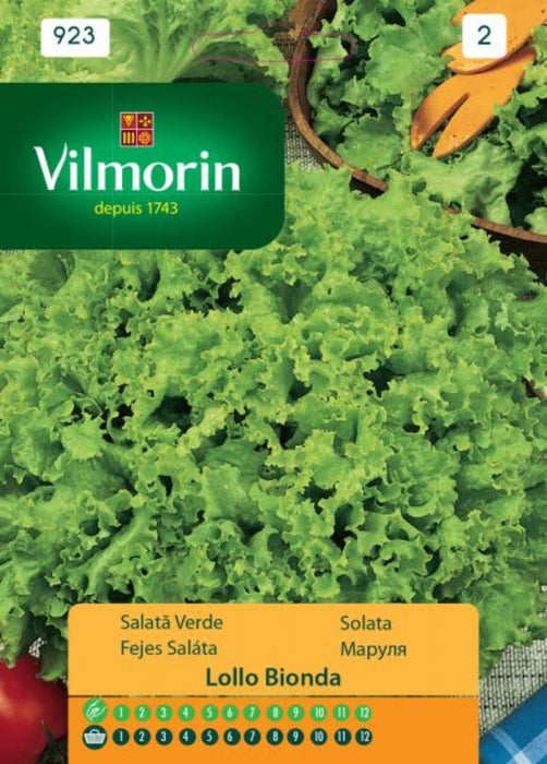 SEED LETTUCE L.BIONDA VILMORIN