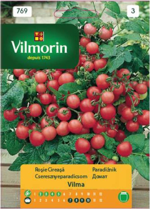 CHERRY TOMATO SEEDS VILMA VILMORIN