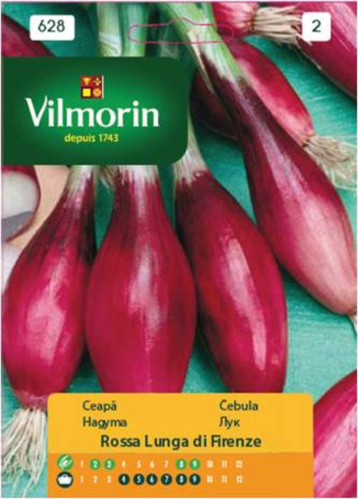RED ONION SEEDS ROSSA VILMORIN