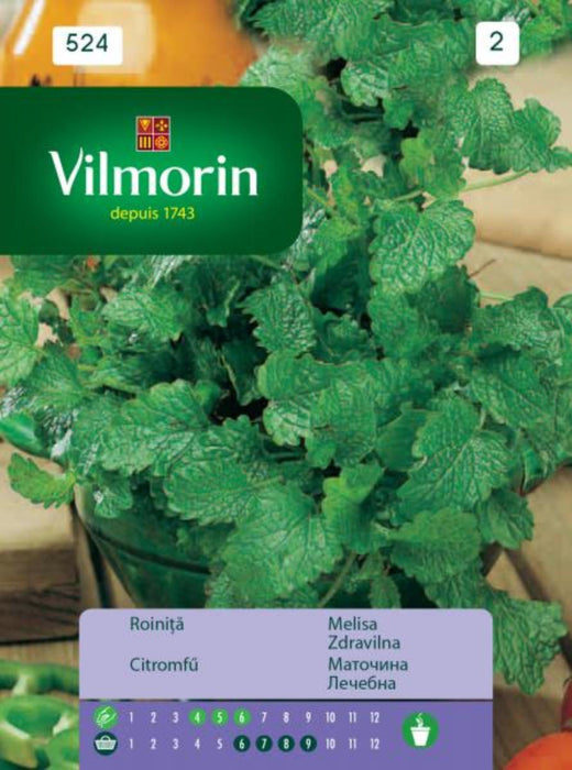 VILMORIN MEDICINAL MOTHER TOM'S SEED