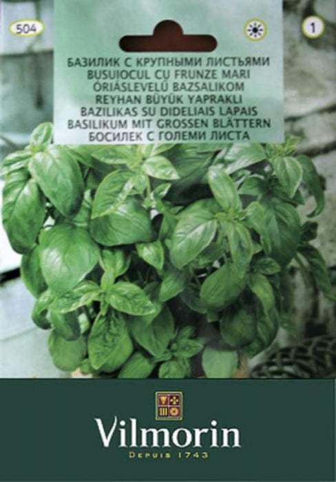 BASIL EDROLIS VILMORIN SEEDS
