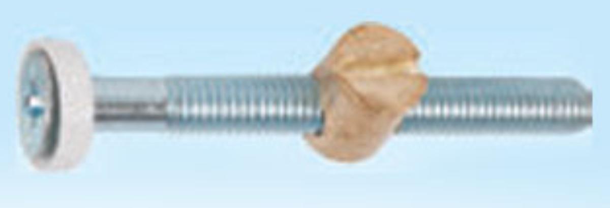 SWEDISH JOINT M6X60 2 PCS