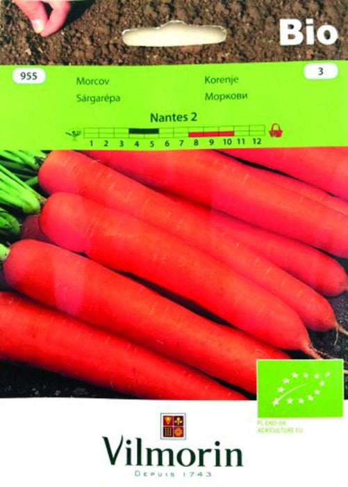 NANTES2 CARROT SEEDS BIO VILMORE