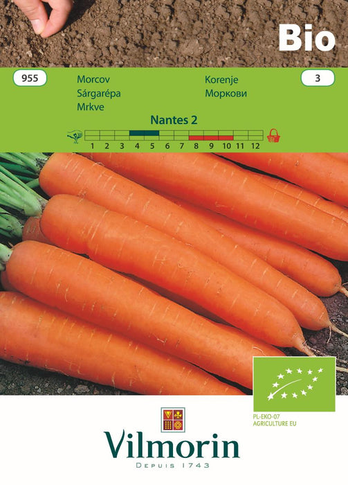 NANTES2 CARROT SEEDS BIO VILMORE