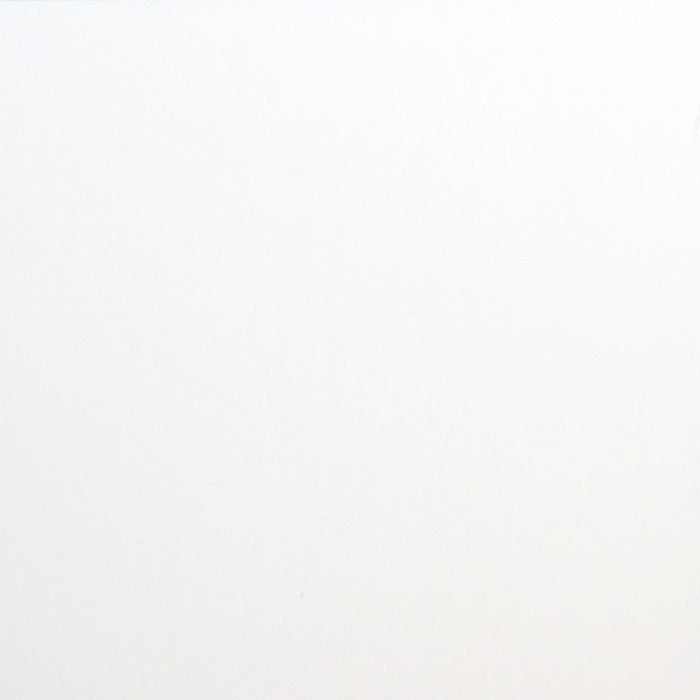 PANEL PVC 60/60CM WHITE