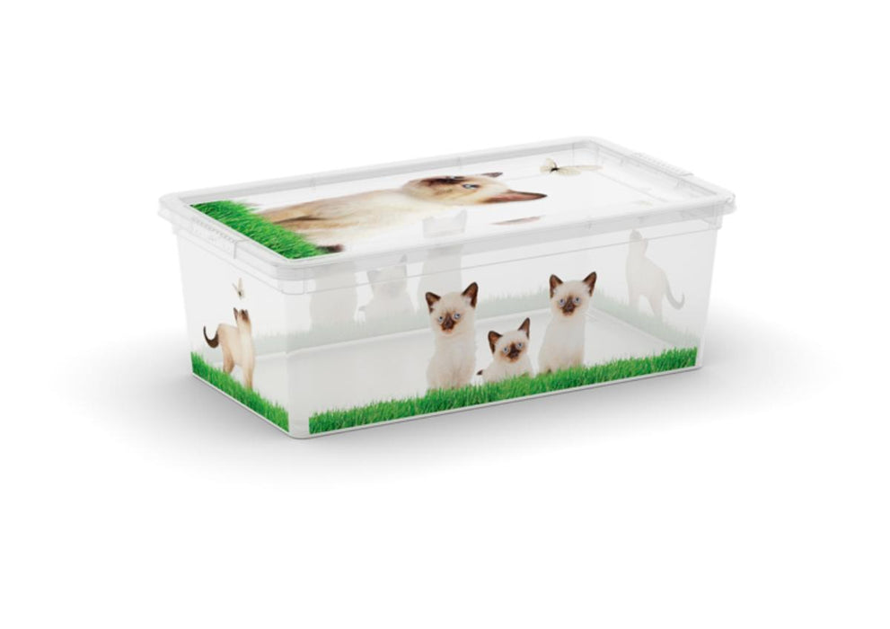 BOX PUPPY 6L XS