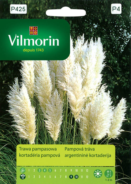 PAMPASCA GRASS SEEDS VILMORIN