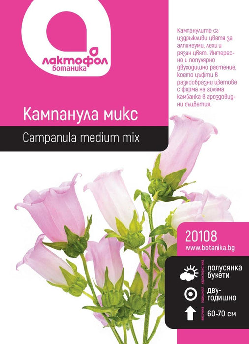 SEED CAMPANULA MIX BOTANICAL