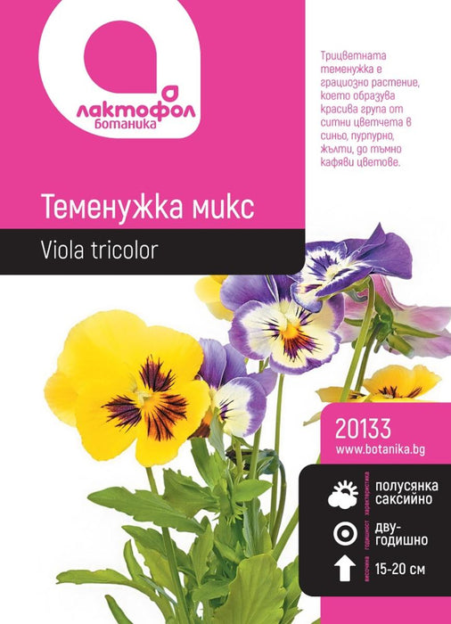 SEED VIOLET SMALL MIX BOTANICAL