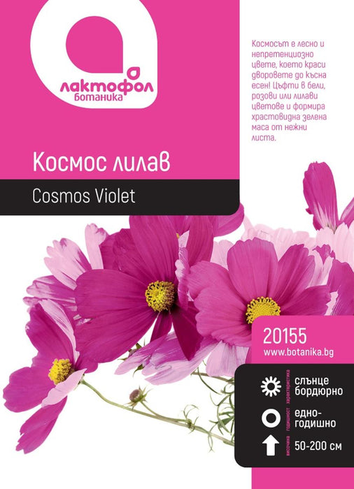 PURPLE BOTANICAL COSMOS SEEDS