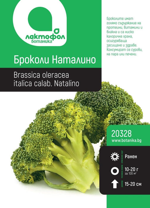 BROCCOLI SEEDS NATALINO BOTANIK
