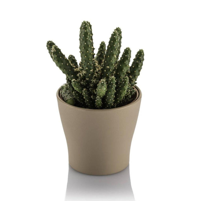 CACTUS POT 10.5CM GARDENIA PASTEL