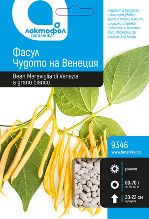 MERAVIGLIA DI VENEZIA BEAN SEEDS B-KA