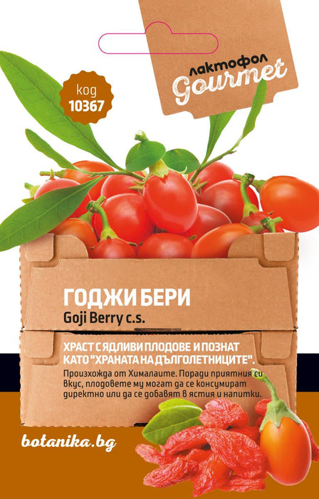 GOJI BERRY SEEDS BOTANY