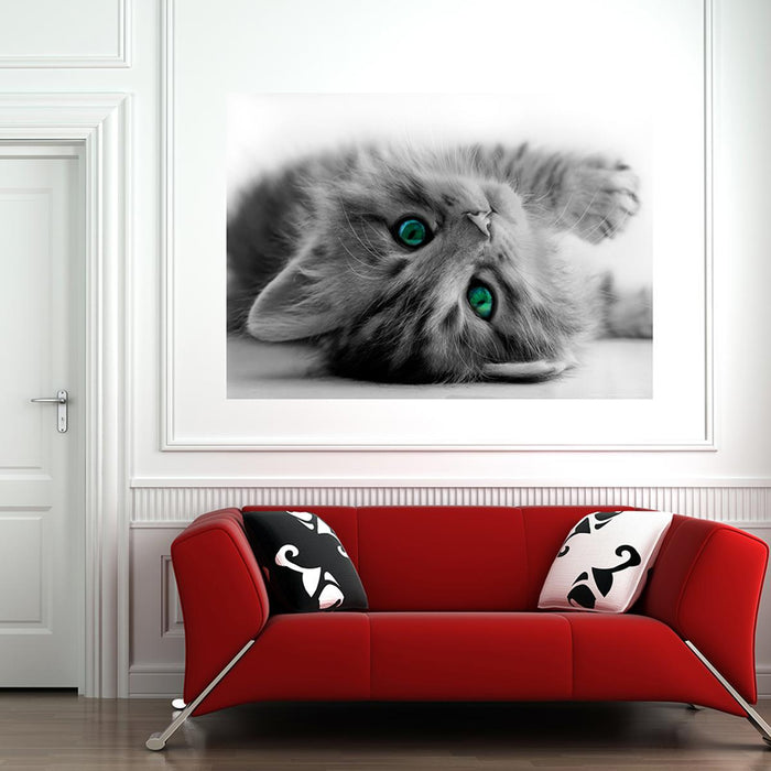 PHOTO WALLPAPER FLEECE 160X110/1H POSTER KITTEN