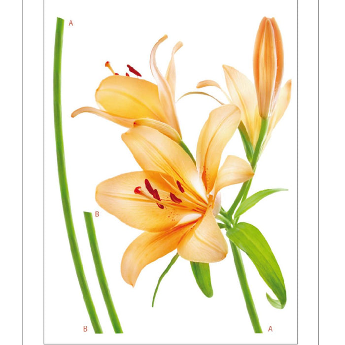 DISNEY STICKER 65X85CM./1 PART LILY