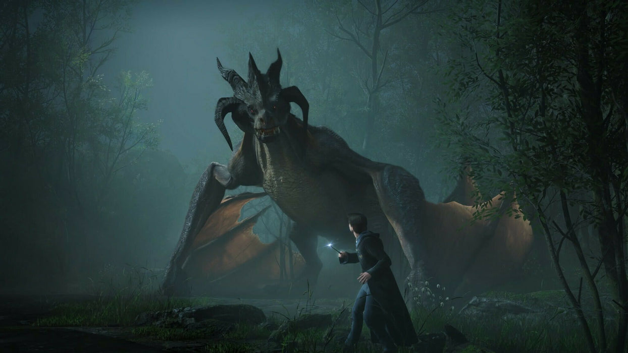Hogwarts Legacy Game (PS4)