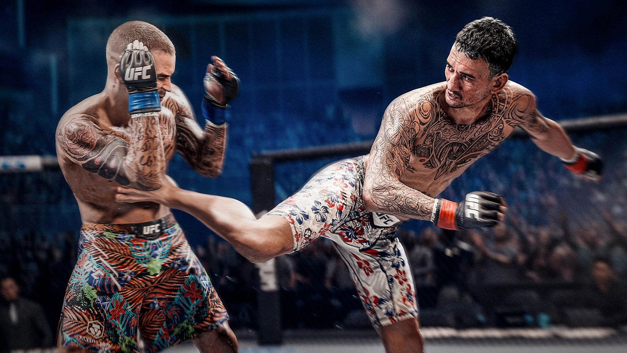 UFC 6 game (PS5)