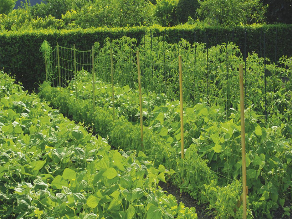 NETTING FOR PLANTS 1.7 X 5 M