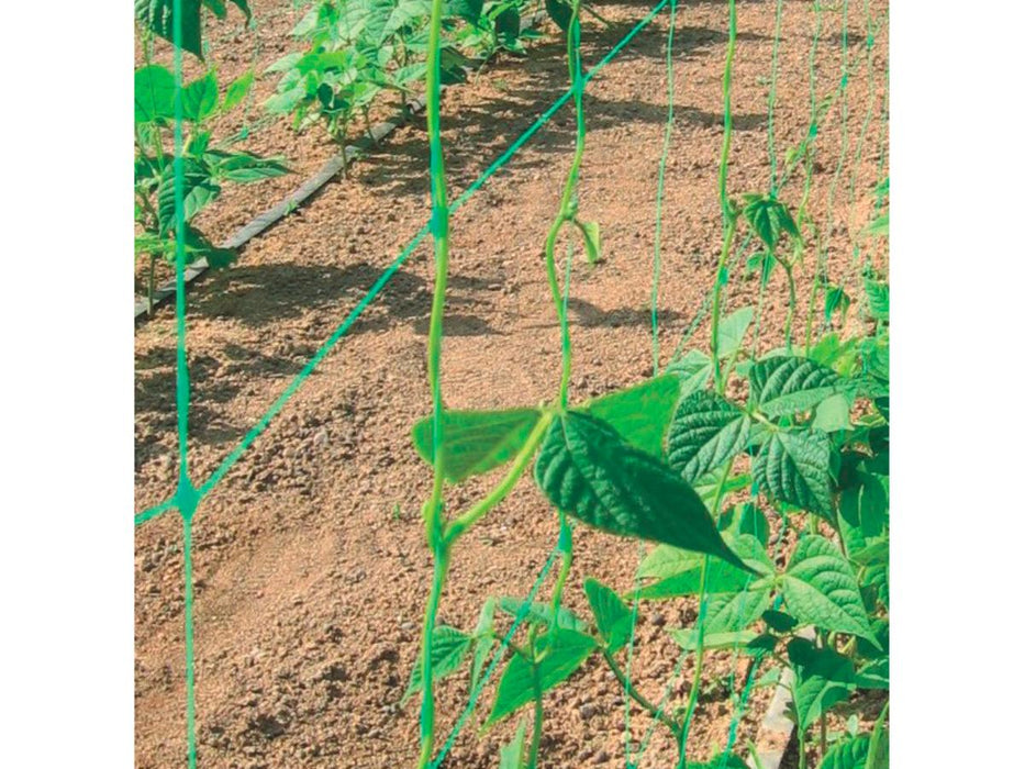 NETTING FOR PLANTS 1.7 X 5 M