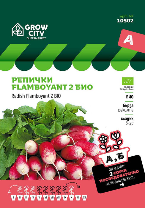 RADISH SEEDS FLAMBOYANT BIO SM