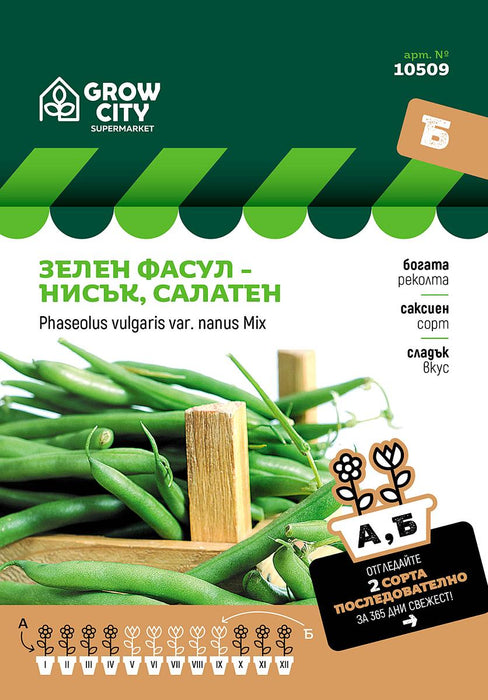 SEEDS GREEN BEANS - LOW, SALAD SM