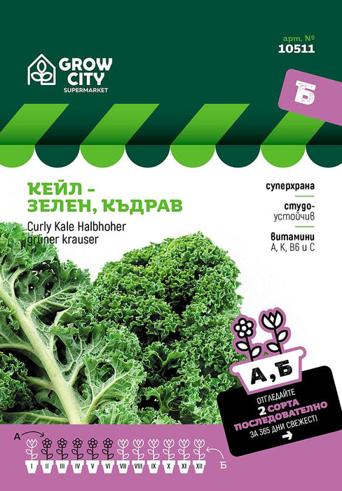 KALE SEEDS - GREEN SUPERMARKET