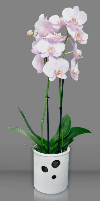 ORCHID CYLINDER POT 13.5 CM WHITE