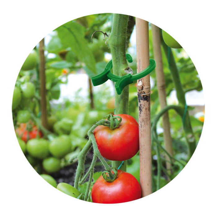 CLAMPS FOR PLANTS 45 PCS. IN 3 SIZES