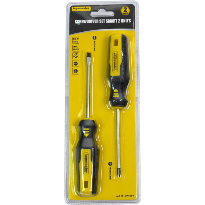 SCREWDRIVER SET TMP SMART PH2, SL5 2PCS