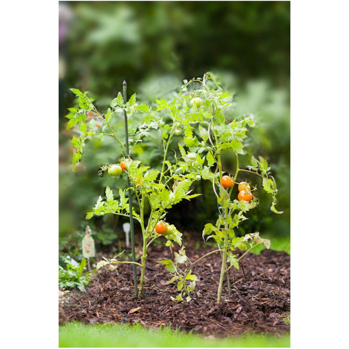 METAL PEG FOR PLANTS F16 MM 240 CM