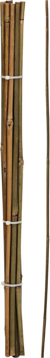 BAMBOO PEG 60CM 10PCS