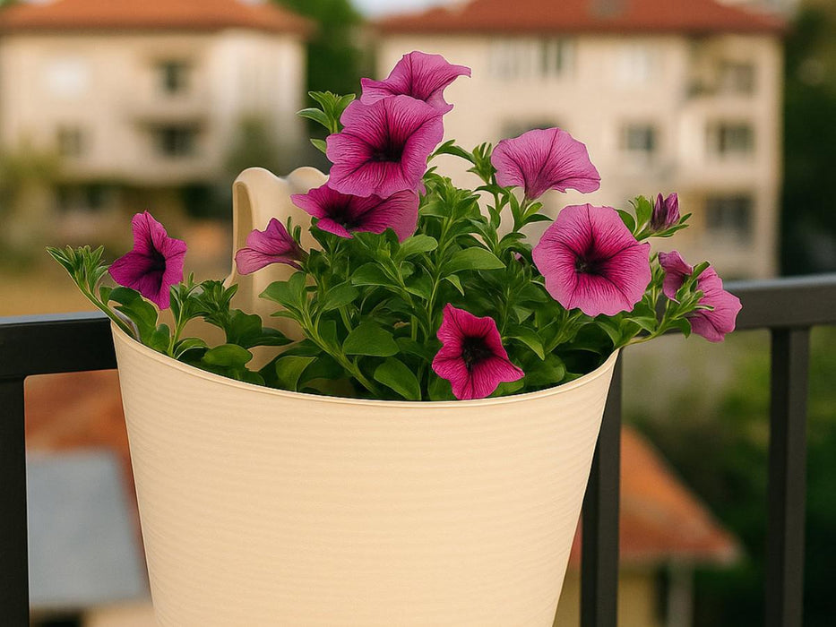 BALCONY BOX DONNA 30CM VANILLA