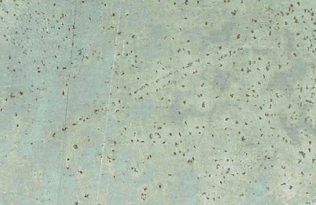 ALUMINUM SHEET METAL 50X40CM