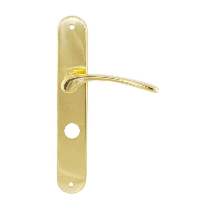 HANDLE 70 MM WC SARA