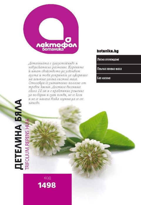 WHITE CLOVER 200 GR