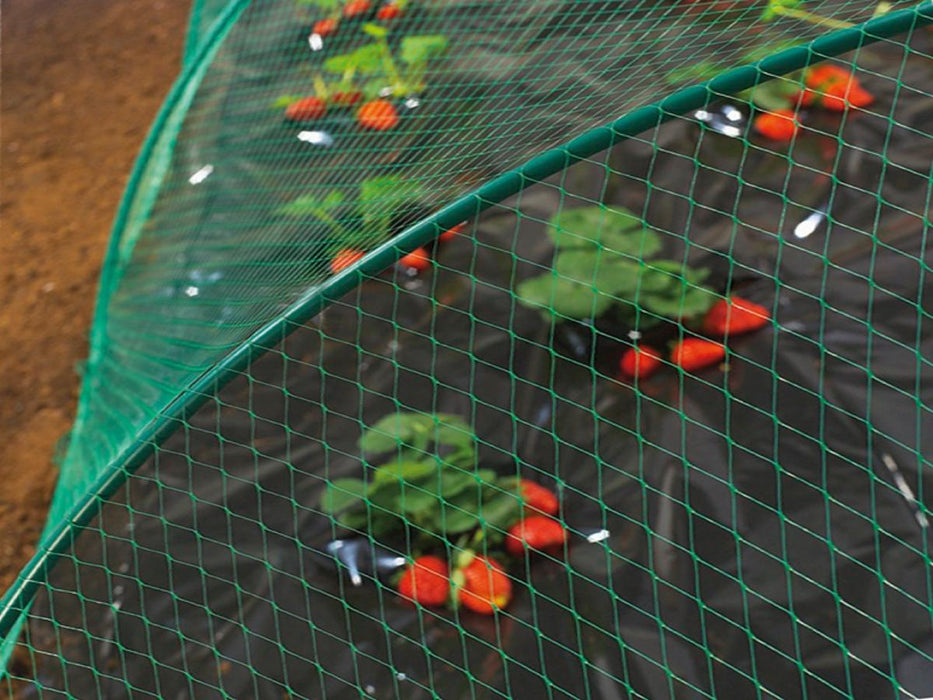 ANTI-BIRD NETTING 4 X 5 M