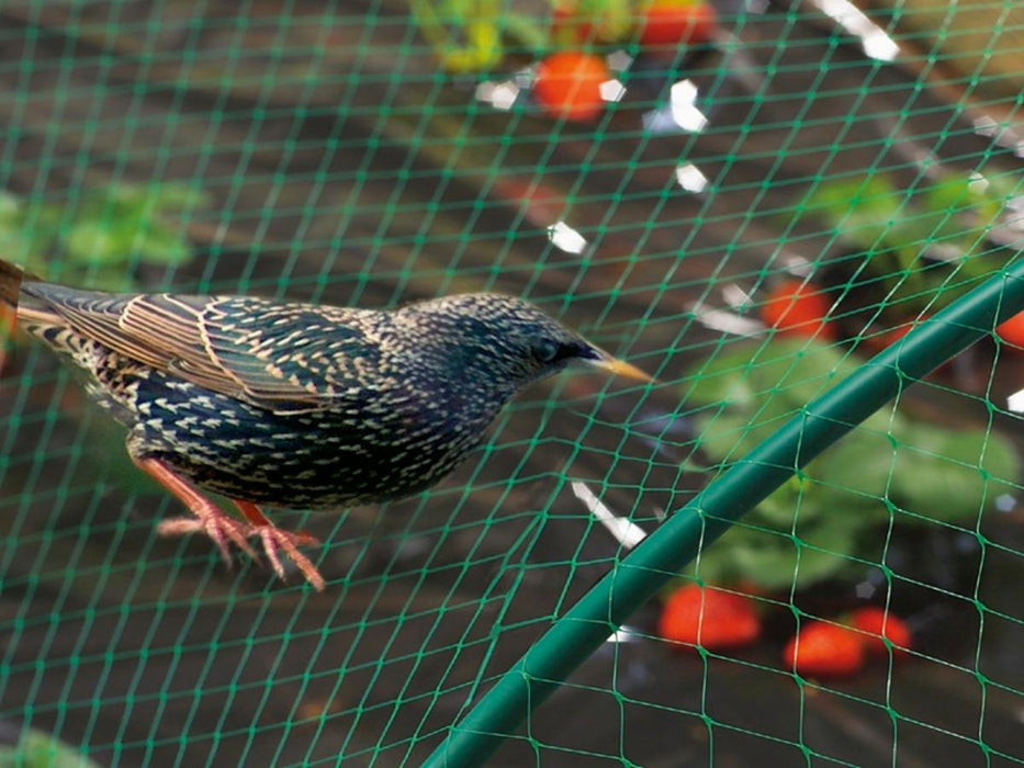 ANTI-BIRD NETTING 4 X 5 M