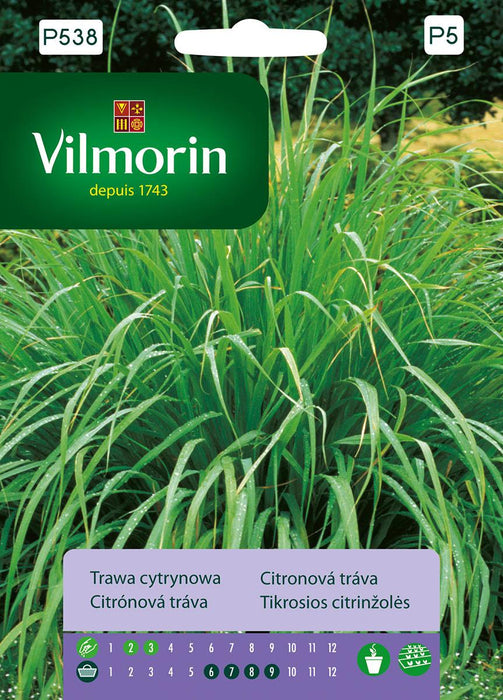 VILMORIN LEMON GRASS