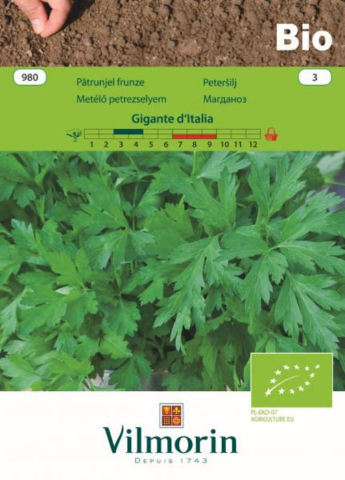 PARSLEY SEEDS GIGANTE D'IT.BIO