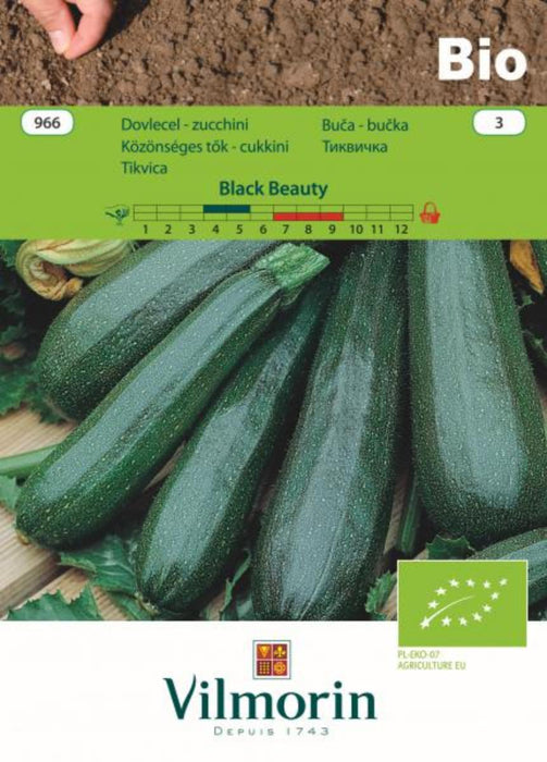 SEED ZUCCHINI BL.BEAUTY BIO VIL