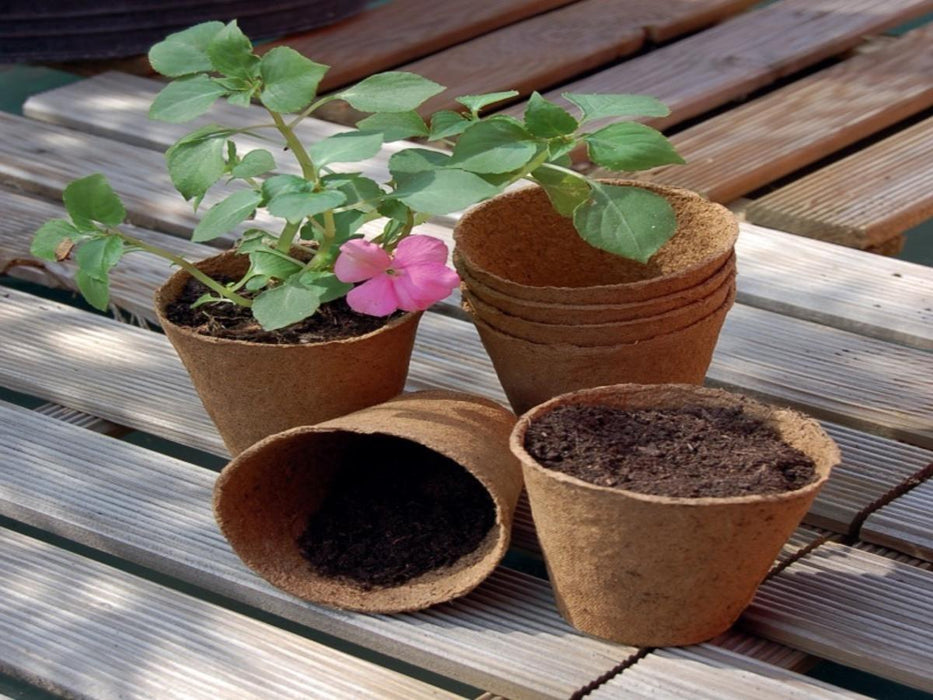 PEAT POTS 6X6 20 PCS