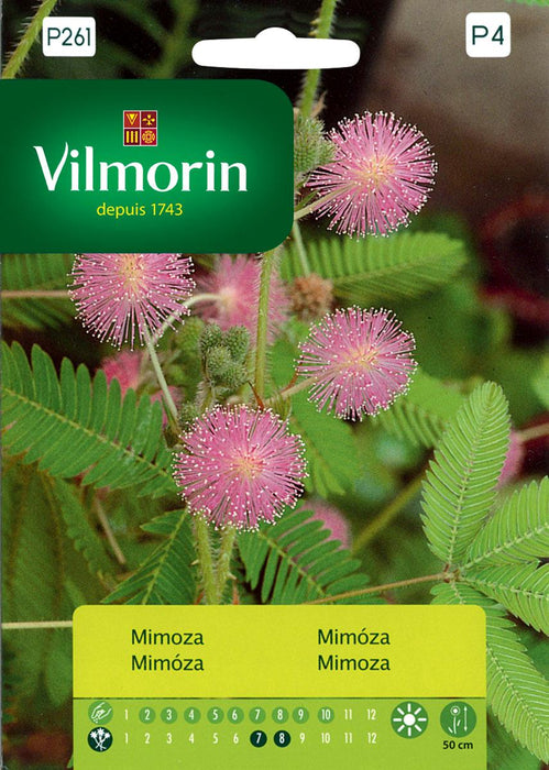 SEED MIMOSA