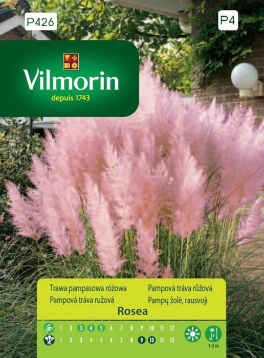 SEED PAMPASCA GRASS PINK VILMORIN