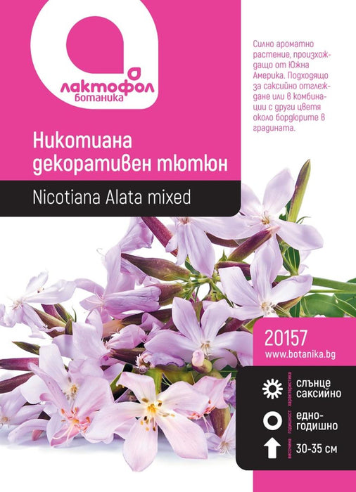 ORNAMENTAL TOBACCO BOTANICAL SEEDS