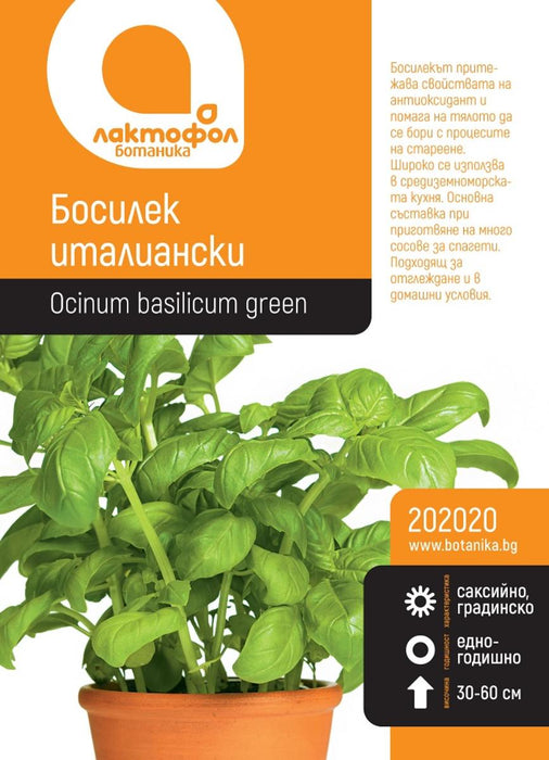 BASIL SEEDS BOTANIC
