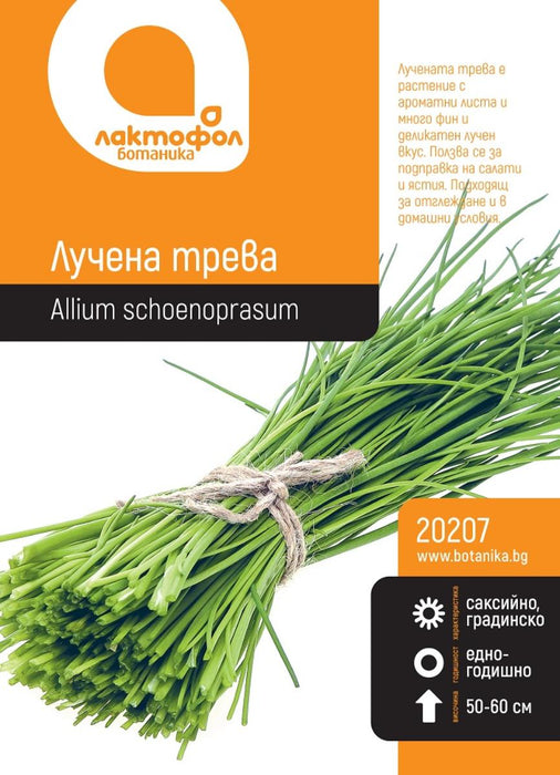 CHICKEN GRASS SEEDS BOTANIST